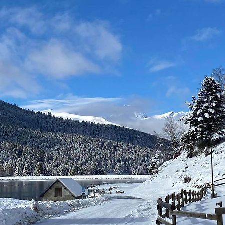 Gite Du Montagnol A Payolle Sainte-Marie-de-Campan Esterno foto