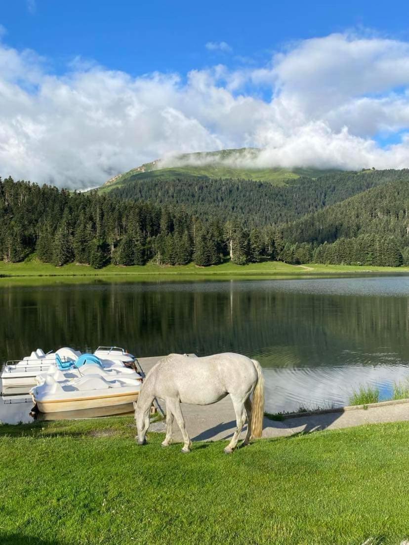 Gite Du Montagnol A Payolle Sainte-Marie-de-Campan Esterno foto