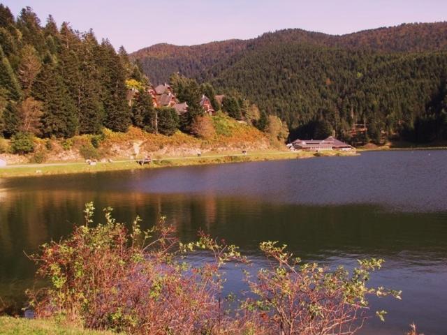 Gite Du Montagnol A Payolle Sainte-Marie-de-Campan Esterno foto