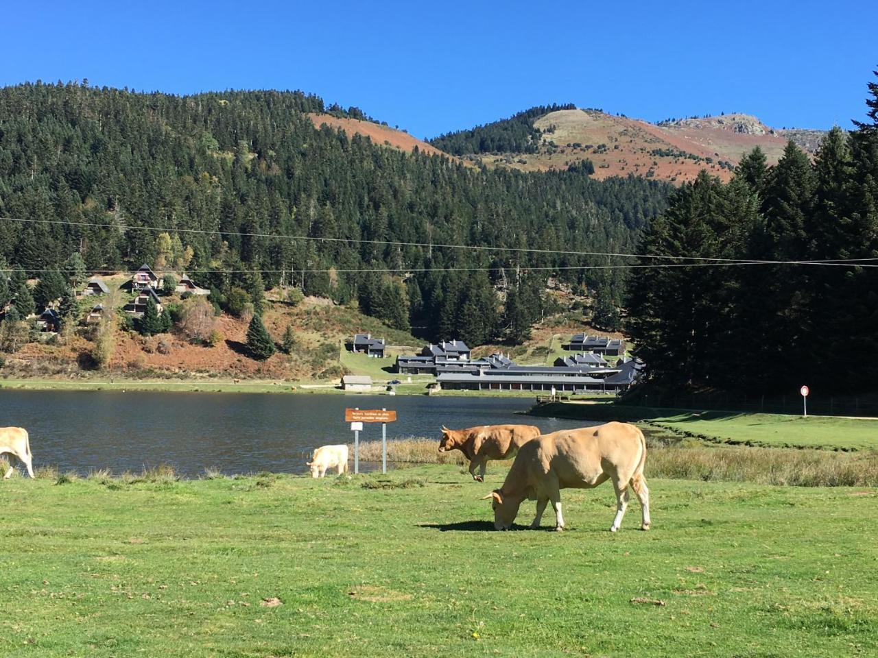 Gite Du Montagnol A Payolle Sainte-Marie-de-Campan Esterno foto