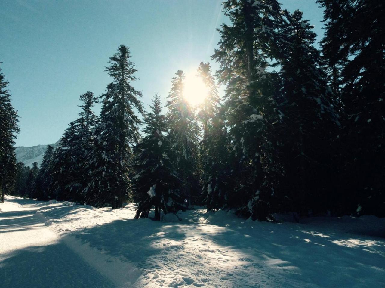 Gite Du Montagnol A Payolle Sainte-Marie-de-Campan Esterno foto