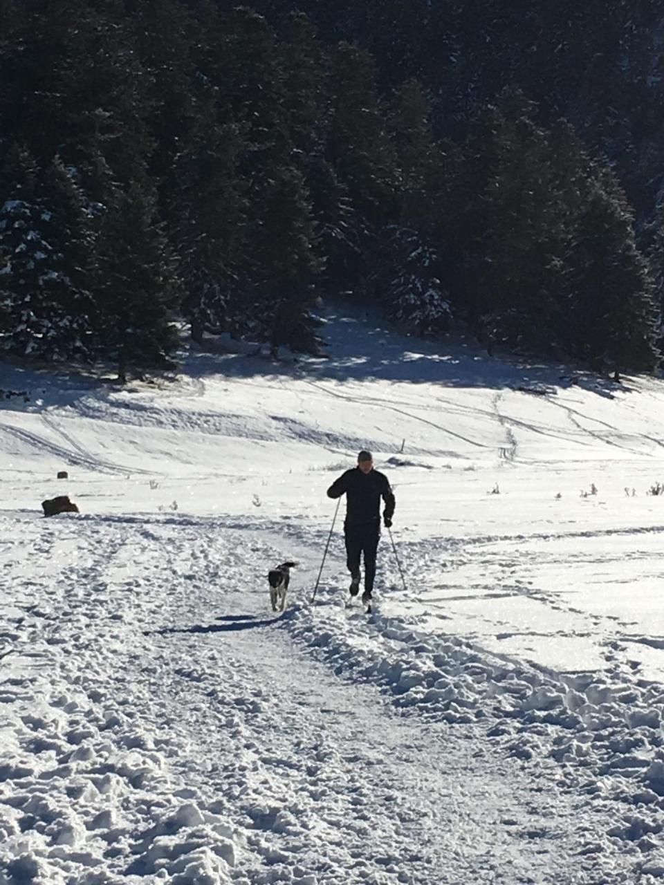 Gite Du Montagnol A Payolle Sainte-Marie-de-Campan Esterno foto
